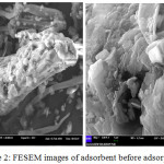 Figure 2: FESEM images of adsorbent before adsorption.