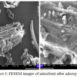 Figure 3: FESEM images of adsorbent after adsorption.