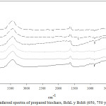 Figure 2: Infarred spectra of prepared biochars, BchL y BchS (650, 750 y 850) (1-6).