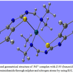 Figure 4: Optimized geometrical structure of  Pd2+ complex with Z-N'-(benzo(d)thiazol-2-yl)-N,N-dimethylformimidamide through sulpher and nitrogen atoms by using B3LYP/Cep-31G.