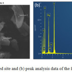 Figure 3.9: (a) Observed site and (b) peak analysis data of the first selected spectrum.