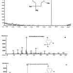 Figure 3: GC-MS chromatogram of (A) D. pedicellatus oil, (B) D. pedicellatus hexane extract.