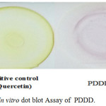 Figure 5: In vitro dot blot Assay of PDDD.