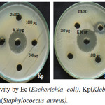 Figure 6: Antimicrobial activity by Ec (Escherichia coli), Kp(Klebsiella pneumoniae), Bs (Bacillus subtilis) and Sa(Staphylococcus aureus).