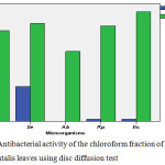 Figure 2: Antibacterial activity of the chloroform fraction of Thuja orentalis leaves using disc diffusion test.