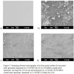 Figure 5: Scanning electron micrographs of a) bare metal surface b) uncoated steel specimen immersed in 1.0 M HCl for 24 h c) P2ABSA coated steel specimen was kept for 24 h in air and immersed in 1.0 M HCl d) P2ABSA coated steel specimen immersed in 1.0 M HCl