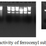 Figure 2: DNA Photo-cleavage activity of ferrocenyl substituted pyrazoles.