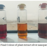 Figure 2: Final Colour of plant extract silver nanoparticles.