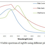 Figure 4: UV-Visible spectrum of AgNPs using different plant extracts. 