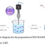 Figure 1: Schematic diagram for the preparation of PDVB/MNP microcapsules by ms CRP.