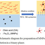 Figure 2: Schematic diagram for preparation of MNPs-OA by co-precipitation in a binary phase.
