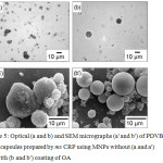 Figure 5: Optical (a and b) and SEM micrographs (a' and b') of PDVB/MNP microcapsules prepared by ms CRP using MNPs without (a and a') and with (b and b') coating of OA.