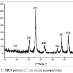 Figure 5: XRD pattern of iron oxide nanoparticles.