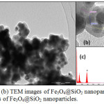 Figure 6: (a), (b) TEM images of Fe3O4@SiO2 nanoparticles; (c) EDX analysis of Fe3O4@SiO2 nanoparticles.