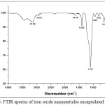 Figure 8: FTIR spectra of iron oxide nanoparticles encapsulated in silica.