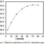 Figure 1: Effect of contact time on the Cu2+ adsorption capacity.