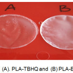 Figure 1: (A). PLA-TBHQ and  (B) PLA-BHT.