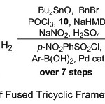 Scheme 1: Synthesis Route of Fused Tricyclic Framework Quinolines Substituents.