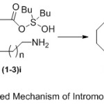 Scheme 3: Proposed Mechanism of Intromolecular Cyclization.