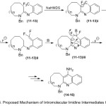 Scheme 4: Proposed Mechanism of Intromolecular lmidine Intermediates Cyclization.