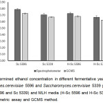 Figure 4: Determined ethanol concentration in different fermentative yeast cultures of Saccharomyces.cerevisiae 5596 and Saccharomyces.cerevisiae 5339 grown in YM media (Sc 5596 and Sc 5339) and MLH media (H-Sc 5596 and H-Sc 5339) using spectrophotometric assay and GCMS method.