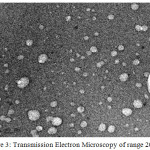Figure 3: Transmission Electron Microscopy of range 20 nm.
