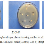 Figure 9: Typical photographs of agar plates showing antibacterial activity of 1) APAH, 2) APBH, 3) ATAH, 4) ATBH, 5) Etanol blank(Control) and 6) Streptomycin (Reference)