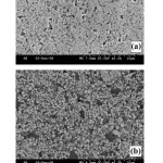 Figure 8: SEM images showing microstructures of (a) W-10 wt.% Cu and (b) W-20 wt.% Cu materials obtained by microwave sintering at 1200°C in H2 atmosphere (Mondal et.al.94).