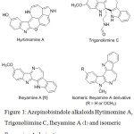 Figure 1: Azepinobisindole alkaloids Hytimomine A, Trigonoliimine C, Iheyamine A (1) and isomeric Iheyamine A derivatives.