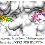 Figure 3: The binding of 7a (green), 7c (yellow), 7d (deep orange), 7e (red), 7f (light blue), 7g (purple) and LZ8 (pink) in the cavity of CPK2 (PDB ID: 2VTO).