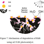 Figure 7: Mechanism of degradation of RhB using AC/CdS photocatalyst.