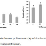 Figure 1: The correlation between proline content (A) and rice shoot-length (B) of rice seedlings (5 days old) under salt treatment.