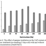 Figure 6: The effect of gamma irradiation on the 2AP content of gamma irradiated rice-seedling (5 days old) with and without salt concentration (20mM NaCl).