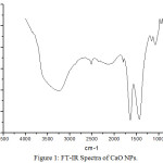 Figure 1: FT-IR Spectra of CaO NPs.