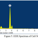 Figure 5: EDX Spectrum of CaO NPs.