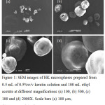 Figure 1: SEM images of HK microspheres prepared from 0.5 mL of 0.5%w/v keratin solution and 100 mL ethyl acetate at different magnifications (a) 100, (b) 500, (c) 100 and (d) 2000X. Scale bars (a) 100 mm, (b) 50 mm, and (c, d) 10 mm.