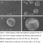 Figure 2: SEM images of HK microspheres prepared from 0.5 mL of 0.5%w/v keratin solution and 200 mL ethyl acetate at different magnifications (a) 100, (b) 500, (c) 100 and (d) 2000X. Scale bars (a) 100 µm, (b) 50 µm, and (c, d) 10 mm.