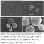 Figure 4: SEM images of HK microspheres prepared from 1.0 mL of 1.0%w/v keratin solution and 100 mL ethyl acetate at different magnifications (a) 100, (b) 500, (c) 100  and (d) 2000X. Scale bars (a) 100, (b) 50, and (c, d) 10 mm.