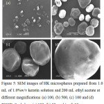 Figure 5: SEM images of HK microspheres prepared from 1.0 mL of 1.0%w/v keratin solution and 200 mL ethyl acetate at different magnifications (a) 100, (b) 500, (c) 100 and (d) 2000X. Scale bars (a) 100, (b) 50, and (c, d) 10 mm.