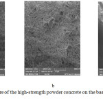 Figure 4: A microstructure of the high-strength powder concrete on the basis of the fine-grinded quartzitic sandstone.
