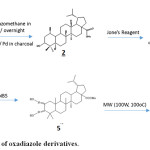 Scheme 1: Preparation of oxadiazole derivatives.