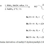 Scheme 2: Amine derivatives of methyl-5-(hydroxymethyl)-2-furan carboxylate.