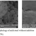 Figure 5: SEM morphology of mild steel without inhibitor (5a) with inhibitor (5b).