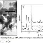 Figure 1: Electron microscopic image of CuZnNPs3 (a) and diffraction patterns of CuZnNPs (1, 2, 3) (b).
