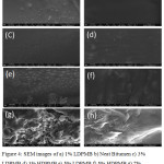 Figure 4: SEM images of a) 1% LDPMB b) Neat Bitumen c) 3% LDPMB d) 3% HDPMB e) 5% LDPMB f) 5% HDPMB g) 7% LDPMB h) 7% HDPMB.