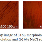 Figure 4: Optical microscopy image of 316L morphology after corrosion in (a) 1% NaCl solution and (b) 6% NaCl solution.