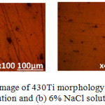 Figure 5: Optical microscopy image of 430Ti morphology after corrosion in (a) 1% NaCl solution and (b) 6% NaCl solution.
