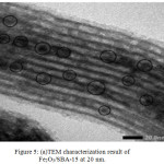 Figure 5: (a)TEM characterization result of  Fe2O3/SBA-15 at 20 nm.