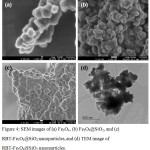 Figure 4: SEM images of (a) Fe3O4, (b) Fe3O4@SiO2, and (c) RBT-Fe3O4@SiO2 nanoparticles, and (d) TEM image of RBT-Fe3O4@SiO2 nanoparticles.