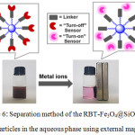 Figure 6: Separation method of the RBT-Fe3O4@SiO2 nanoparticles in the aqueous phase using external magnet.